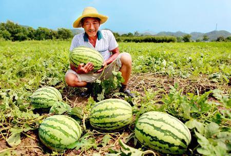 各路大神吃瓜的视频,笑料百出!