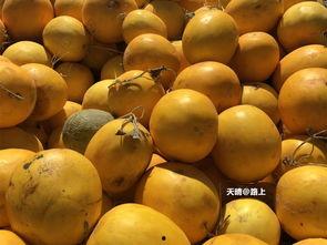 山外吃瓜视频,揭秘娱乐圈幕后故事