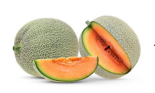 老年人吃的蜜瓜好吗视频,适合老年人的夏日美味选择