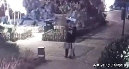 英国吃瓜视频完整版,揭秘英伦街头生活趣味瞬间