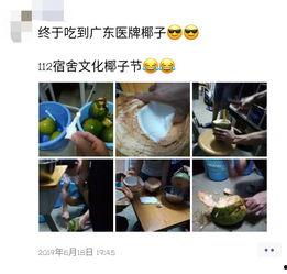 石家庄高校吃瓜视频,校园生活趣味瞬间大揭秘
