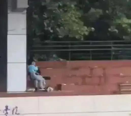 江西校园吃瓜事件视频,揭秘校园内幕引发热议