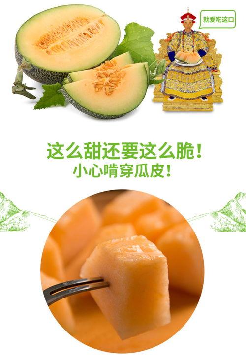 如何吃小蜜瓜好吃视频讲解,视频教学,轻松学会甜蜜滋味