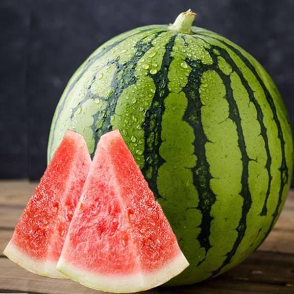 武陟吃瓜完整视频