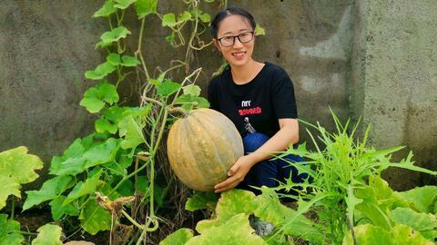 吃瓜生活的视频,揭秘娱乐圈幕后故事