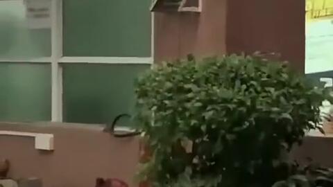 滨江最新吃瓜新闻报道视频,揭秘热门事件幕后真相