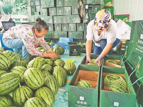 最近泗水吃瓜事件视频曝光,视频曝光揭示惊人真相