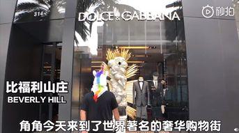 吃瓜观影站视频博主有哪些